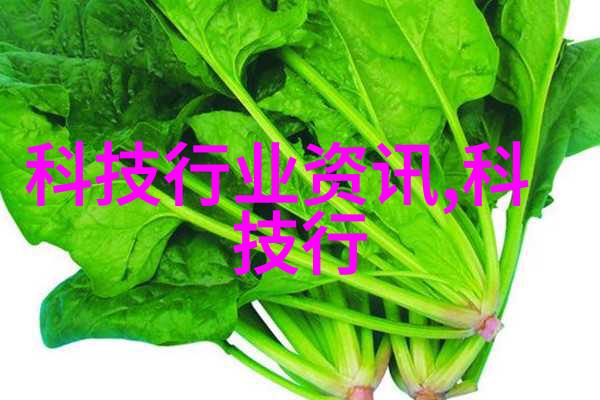 硬脂酸钙包装机 豆腐花包装设备